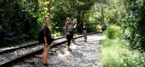 Inka Jungle Machu Picchu 4D/3N