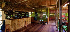 Amazon Expedition Tambopata 3D/2N