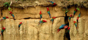 Peru Tours 13D/12N